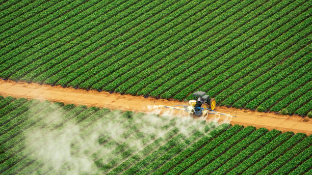 Best Pest Removal Services  in Union Mill, VA